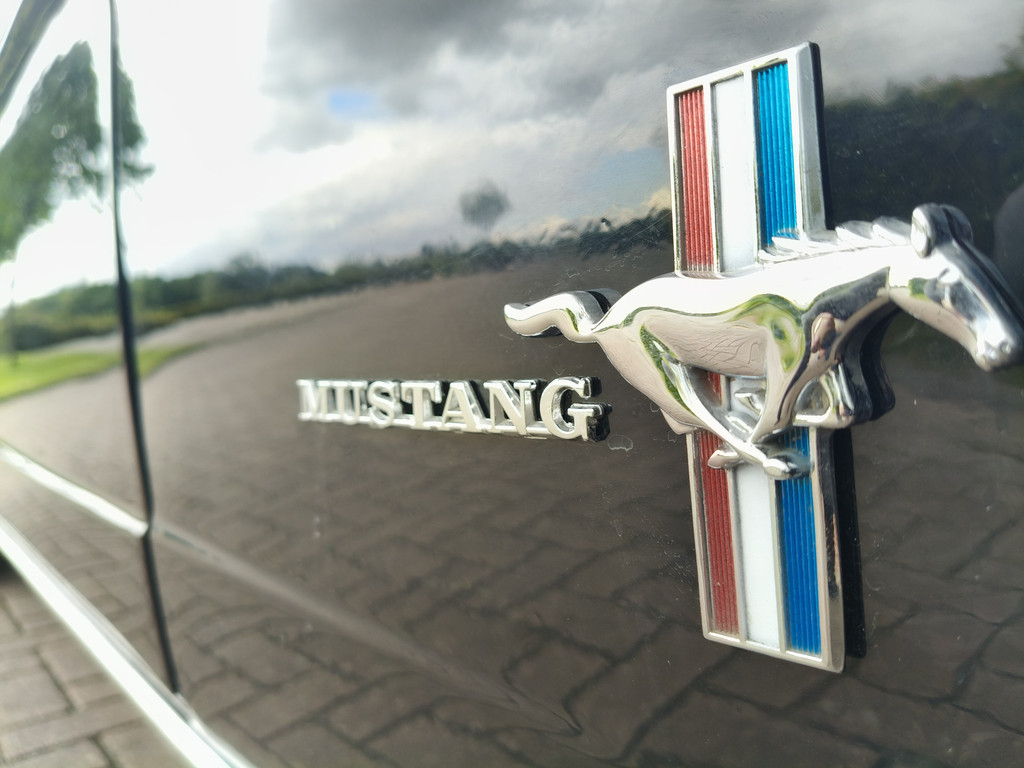 56422287-27.jpg