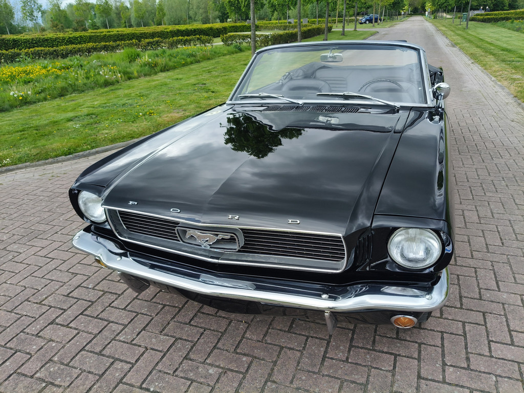 56422287-34.jpg
