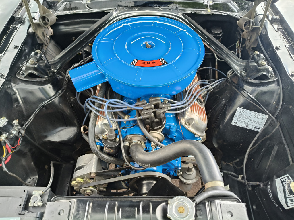 56422287-59.jpg
