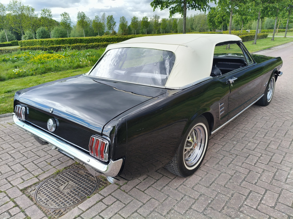 56422287-8.jpg