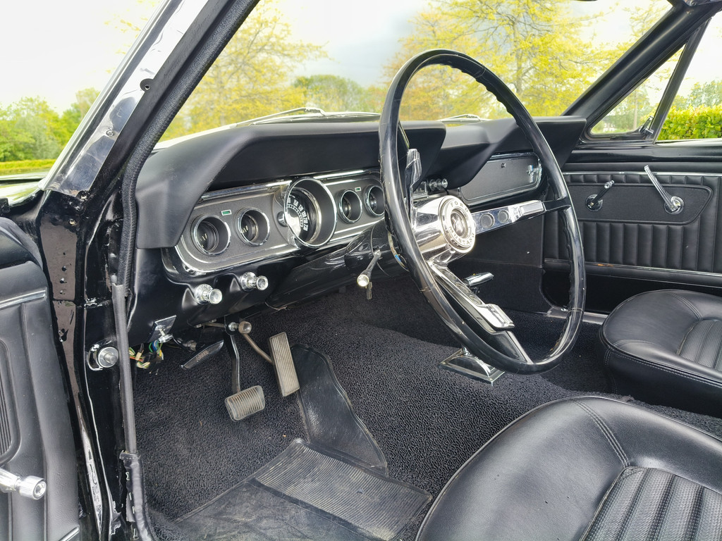56422287-80.jpg