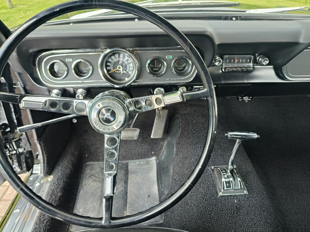 56422287-82.jpg